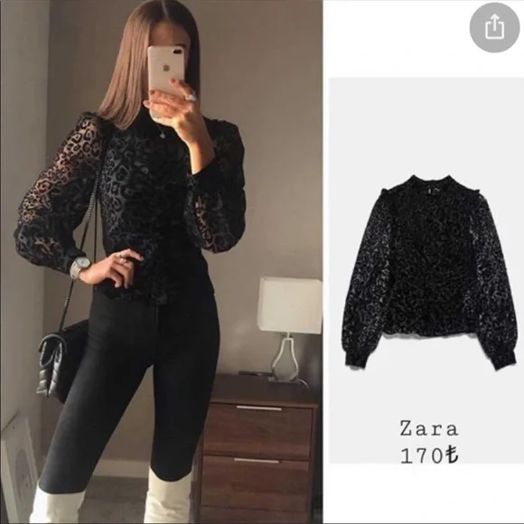 Zara NWT organza blouse - Picture 2 of 10